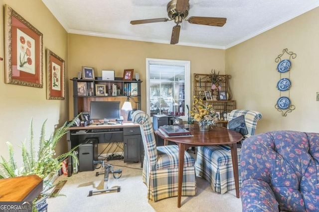 292 Lumpkin St, Winder, GA 30680 - carpeted office featuring crown molding and ceiling fan