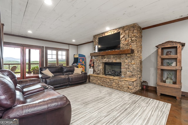 264 Pontoosuc Dr, Mineral Bluff, GA 30559 - living room with ornamental molding, a stone fireplace, and recessed lighting