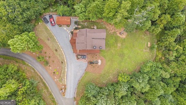 264 Pontoosuc Dr, Mineral Bluff, GA 30559 - aerial view