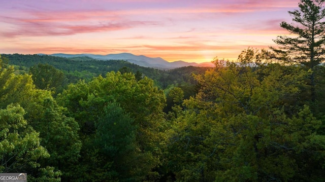 142 Amelia Ln, Blue Ridge, GA 30513 - property view of mountains featuring a view of trees