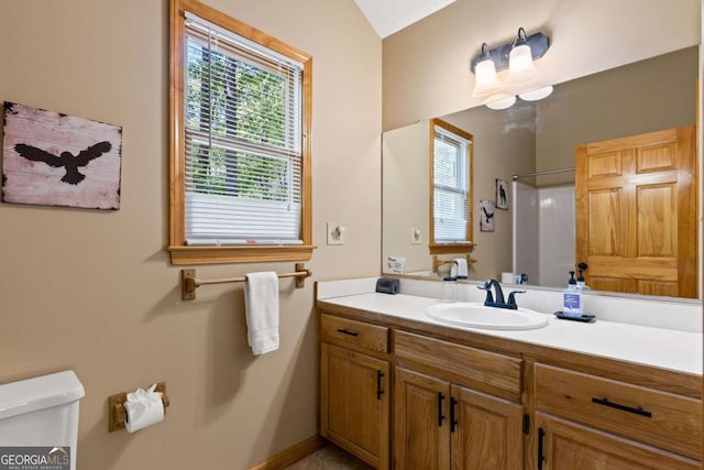 142 Amelia Ln, Blue Ridge, GA 30513 - bathroom featuring walk in shower, vanity, a wealth of natural light, and toilet