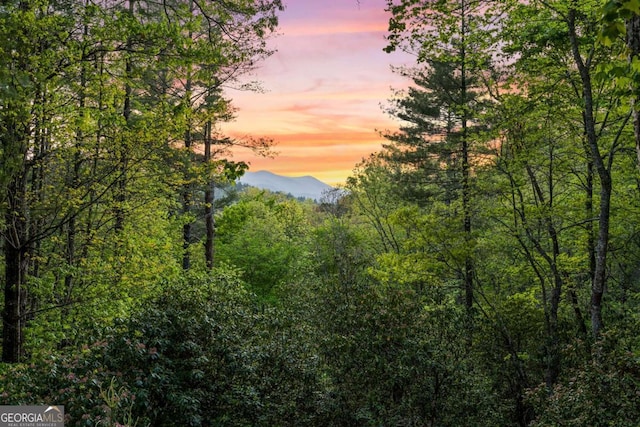 142 Amelia Ln, Blue Ridge, GA 30513 - mountain view with a forest view