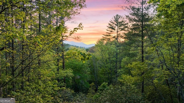 142 Amelia Ln, Blue Ridge, GA 30513 - view of mountain feature featuring a forest view