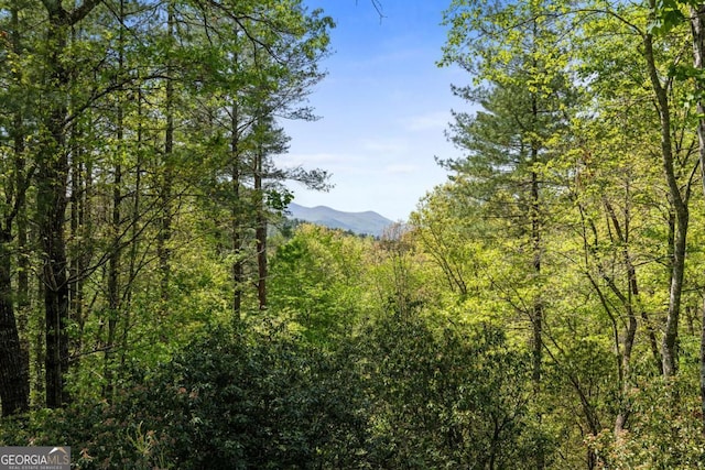 142 Amelia Ln, Blue Ridge, GA 30513 - view of mountain feature featuring a wooded view