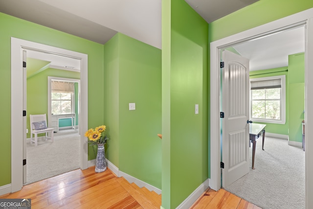 hall featuring carpet, baseboards, and wood finished floors