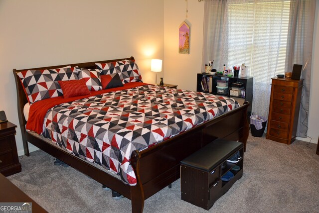 202 Willow Oak Way, Lizella, GA 31052 - bedroom with carpet