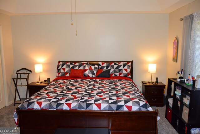 202 Willow Oak Way, Lizella, GA 31052 - view of carpeted bedroom
