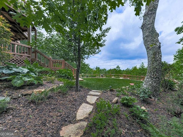 550 My Mountain Rd, Morganton, GA 30560 - view of yard