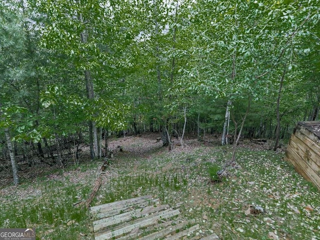 550 My Mountain Rd, Morganton, GA 30560 - view of yard