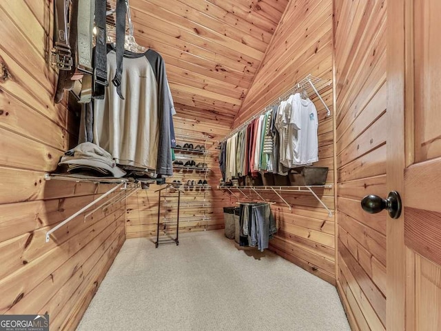 550 My Mountain Rd, Morganton, GA 30560 - spacious closet featuring lofted ceiling and carpet floors