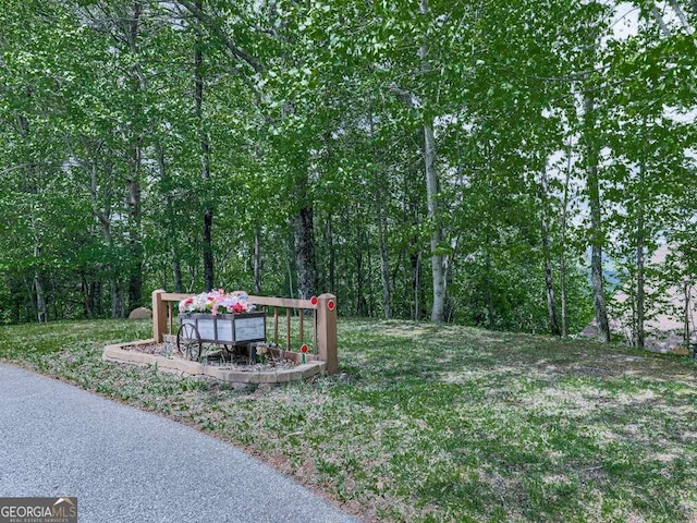 550 My Mountain Rd, Morganton, GA 30560 - view of yard