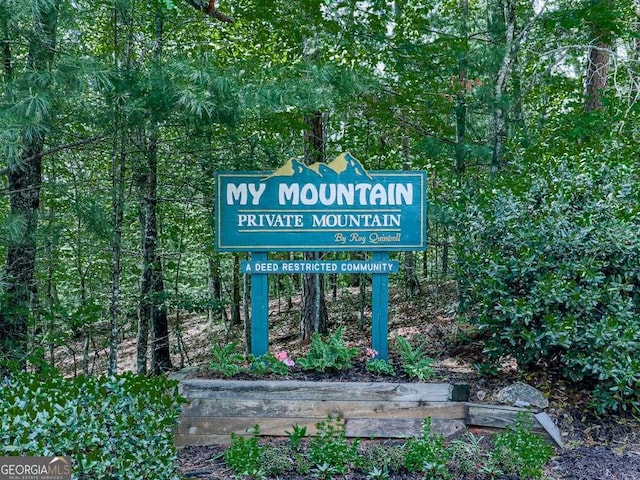 550 My Mountain Rd, Morganton, GA 30560 - view of community sign