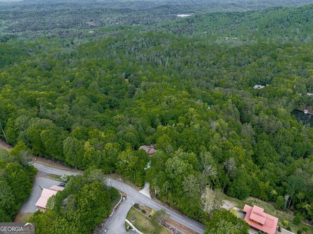 550 My Mountain Rd, Morganton, GA 30560 - aerial view of property's location with a heavily wooded area