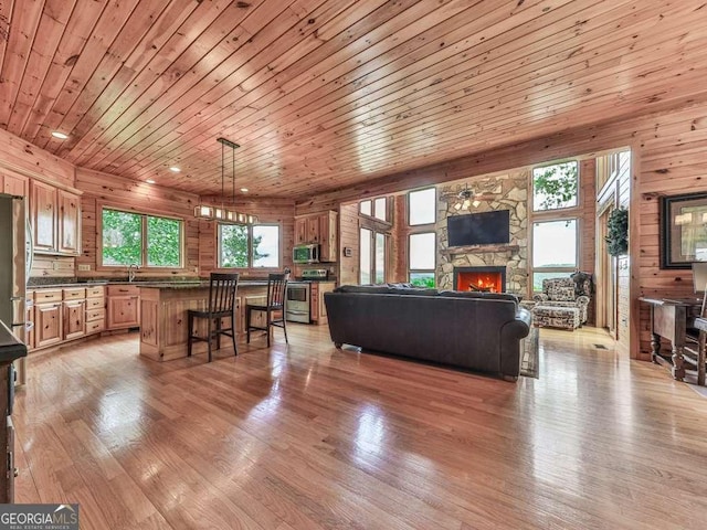 550 My Mountain Rd, Morganton, GA 30560 - living room featuring a fireplace, light wood-type flooring, wooden ceiling, and wooden walls