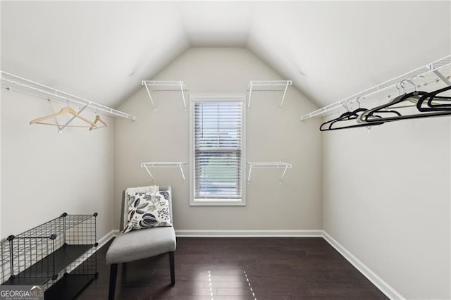walk in closet featuring wood finished floors and lofted ceiling