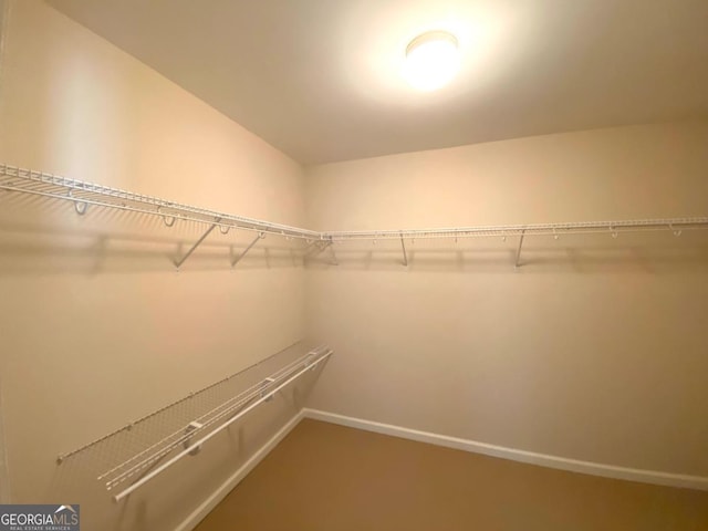 view of spacious closet