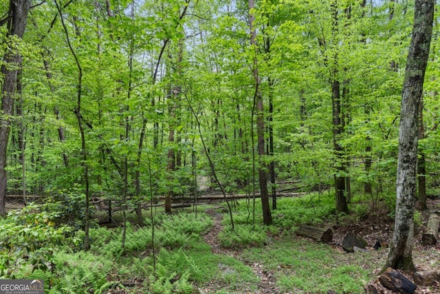 view of landscape with a forest view