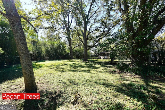 341 Fox Rd, Griffin, GA 30224 - view of grassy yard