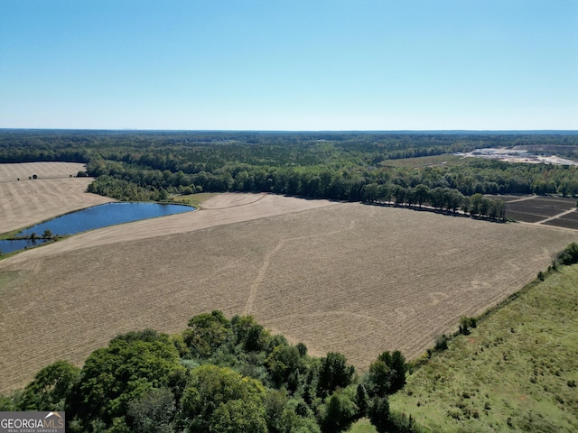 341 Fox Rd, Griffin, GA 30224 - bird's eye view of a large body of water and a forest