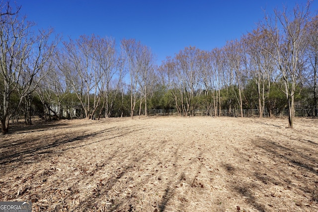 341 Fox Rd, Griffin, GA 30224 - view of local wilderness