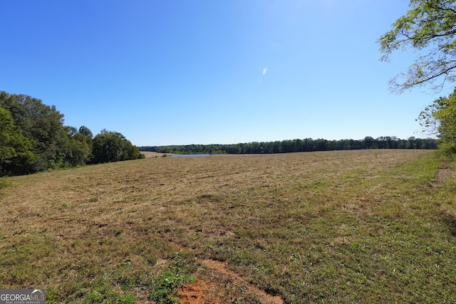 341 Fox Rd, Griffin, GA 30224 - view of local wilderness with rural landscape