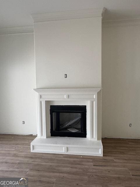 2191 Isles Of St Marys Way, Saint Marys, GA 31558 - details featuring crown molding, wood finished floors, and a fireplace with raised hearth