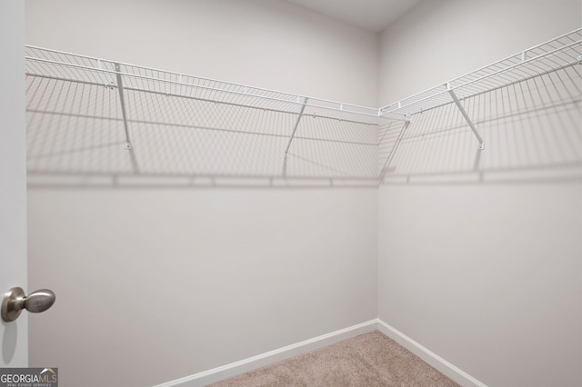 63 Brookstone Park E, Acworth, GA 30101 - spacious closet with carpet flooring
