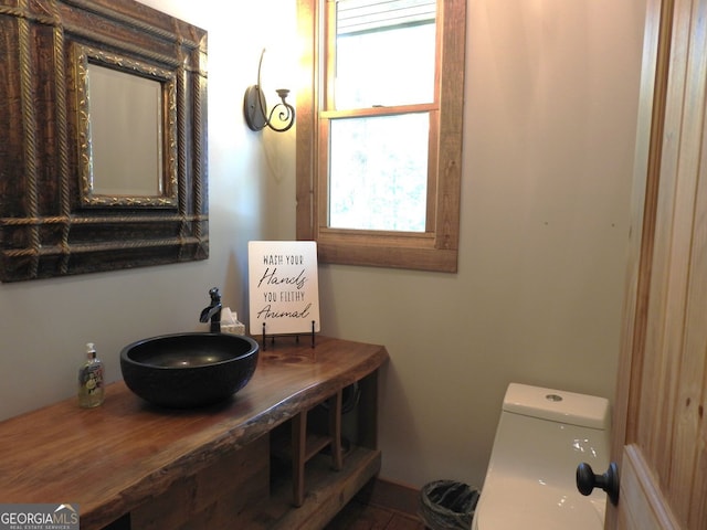366 Shepherds Way, Morganton, GA 30560 - bathroom with a sink and toilet