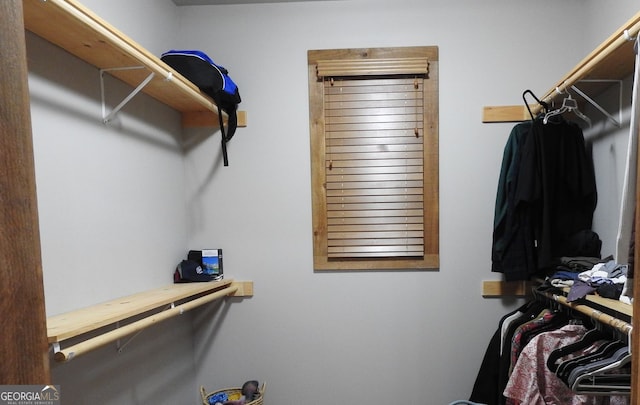 view of spacious closet