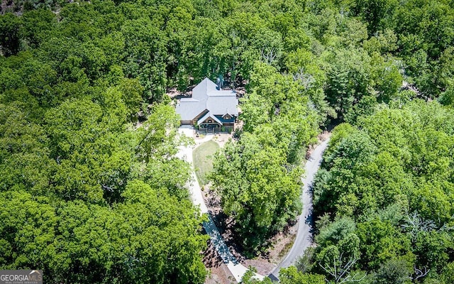 bird's eye view