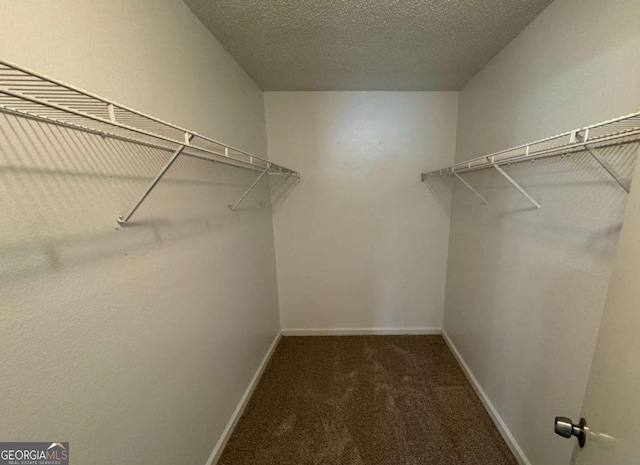 walk in closet featuring carpet flooring