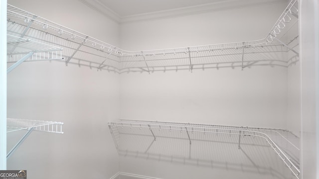 216 Morningside Dr, Thomasville, GA 31792 - view of walk in closet