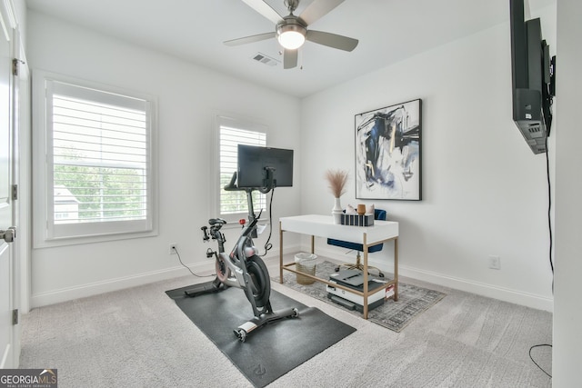 3313 Bartee Walk, Suwanee, GA 30024 - workout room with healthy amount of natural light, ceiling fan, and carpet floors