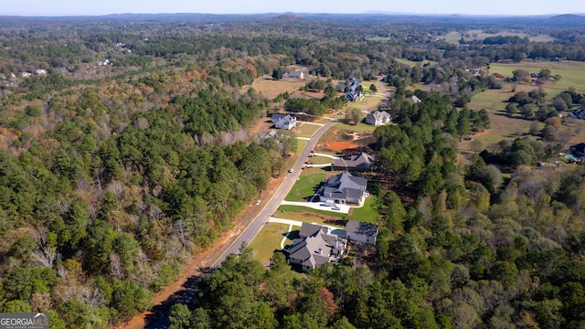 aerial view with a forest view