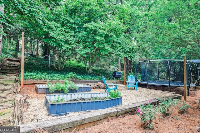2244 Deer Ridge Dr, Tucker, GA 30087 - view of swimming pool featuring a vegetable garden