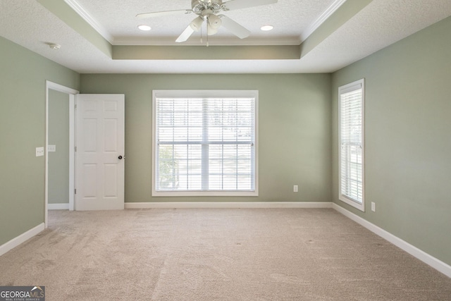 1114 Laurel St, Blackshear, GA 31516 - unfurnished room with a tray ceiling, crown molding, a textured ceiling, and light colored carpet