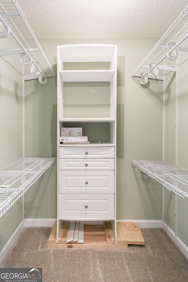 1114 Laurel St, Blackshear, GA 31516 - spacious closet with carpet