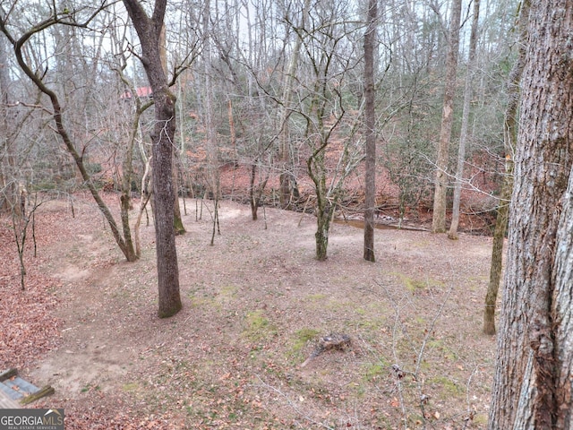 view of local wilderness