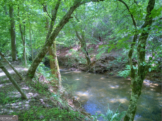 view of nature