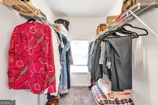 spacious closet with carpet