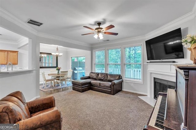 living room featuring carpet, visible vents, ceiling fan with notable chandelier, a fireplace with flush hearth, and crown molding