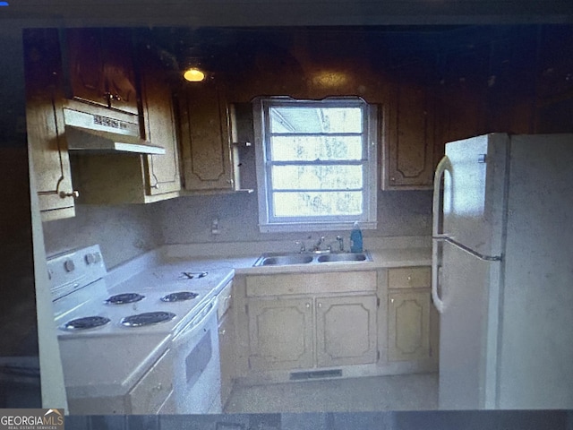kitchen featuring under cabinet range hood, light countertops, a sink, and white appliances