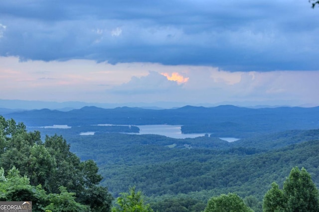 889 Chestnut Rdg, Blue Ridge, GA 30513 - view of mountain feature with a view of trees