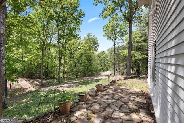 view of yard featuring a patio area and a forest view