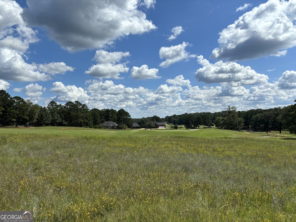 LOT16 Camden Way, Hawkinsville, GA 31036