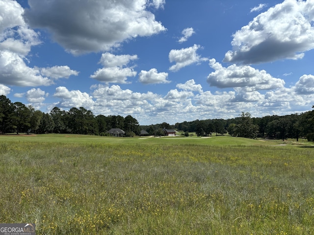 LOT16 Camden Way, Hawkinsville, GA 31036