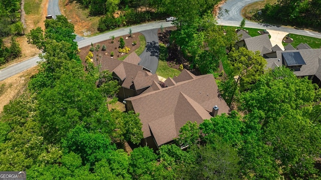 bird's eye view