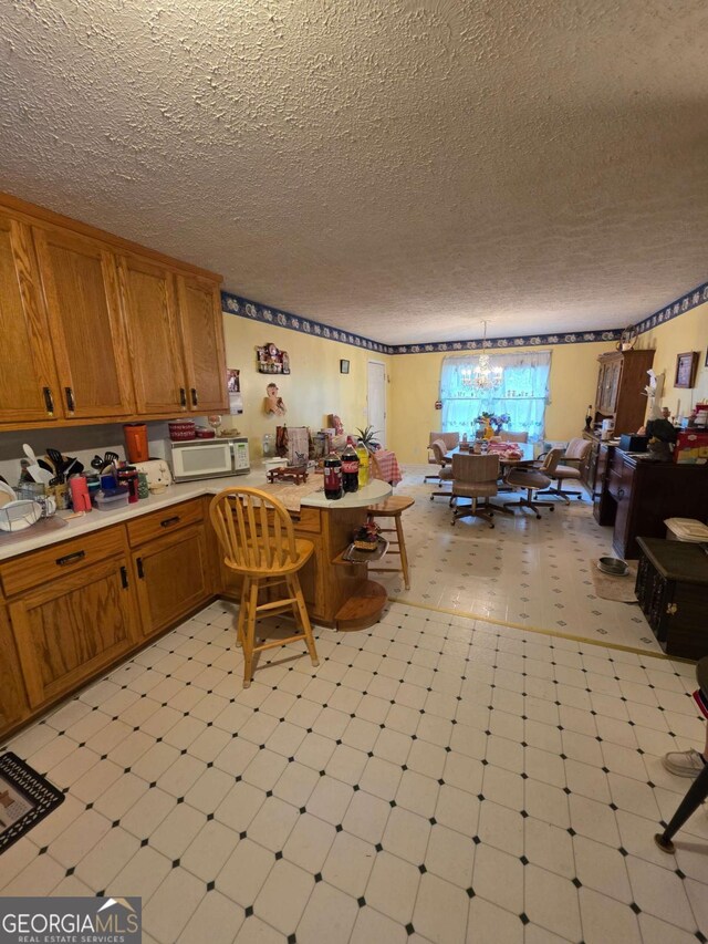 1180 Edwards Mill Rd, Ball Ground, GA 30107 - kitchen with light floors, open floor plan, and a textured ceiling