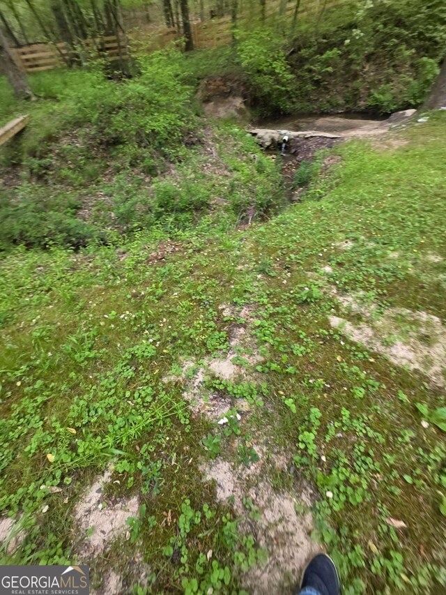 1180 Edwards Mill Rd, Ball Ground, GA 30107 - view of yard
