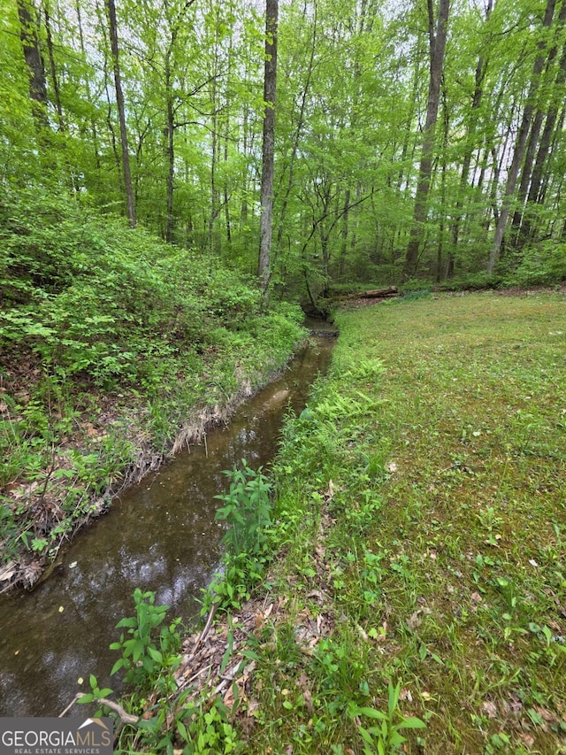 1180 Edwards Mill Rd, Ball Ground, GA 30107 - view of local wilderness